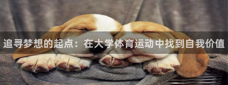 yy易游官方正版app娱乐下载：追寻梦想的起点：在大