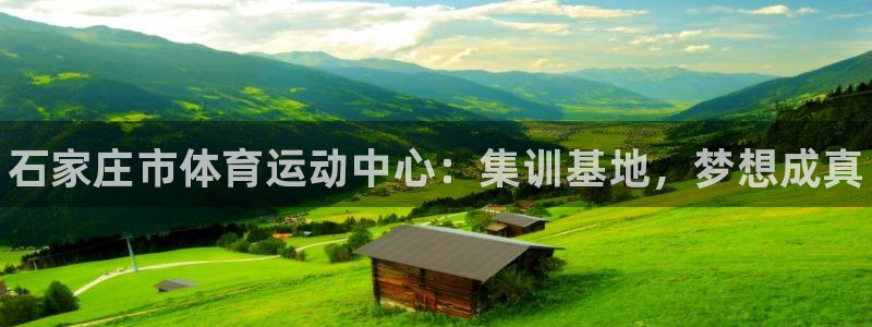 yy易游官方正版app娱乐首页网站大全：石家庄市体育