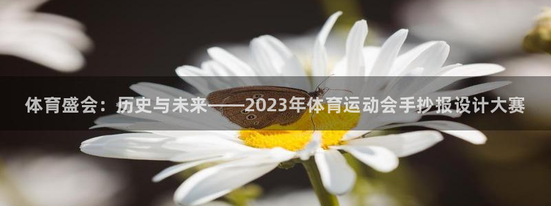 yy易游官网下载：体育盛会：历史与未来——2023年