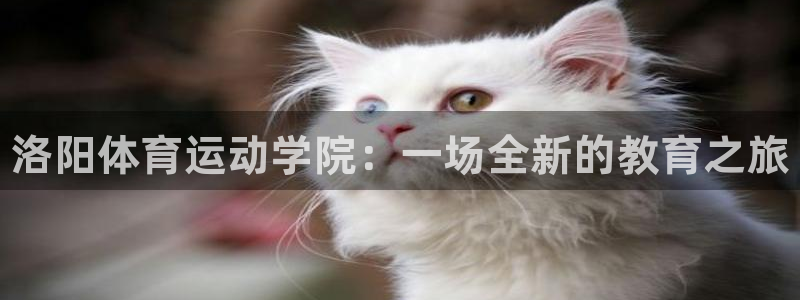 注册yy易游官方正版app：洛阳体育运动学院：一场全