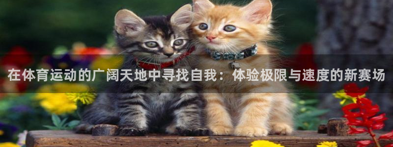 yy易游官方正版app娱乐：在体育运动的广阔天地中寻