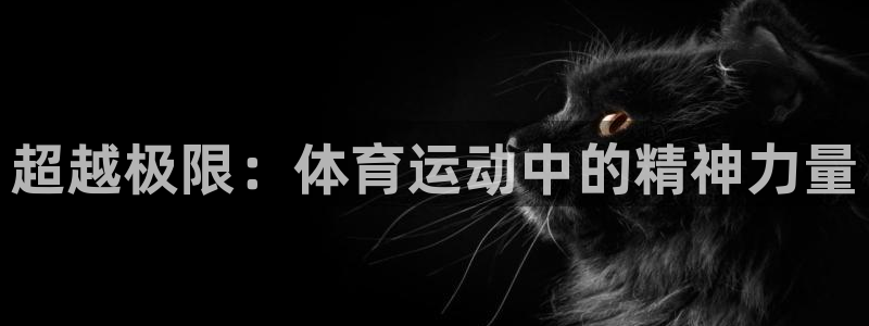 yy易游官方正版app集团官网首页：超越极限：体育运
