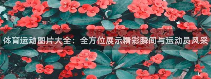 yy易游官网下载平台假的吗是真的吗吗：体育运动图片大