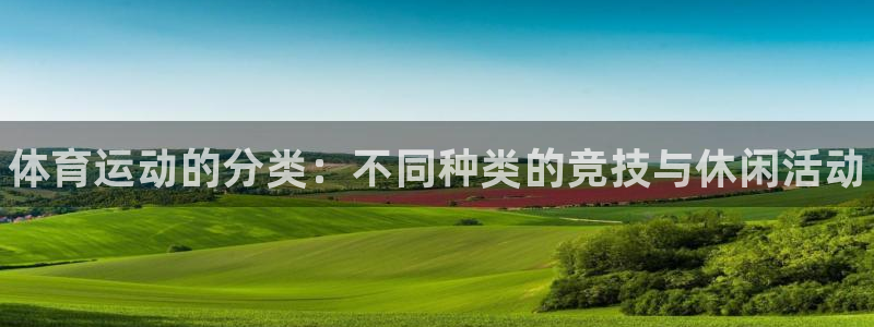 yy易游官网下载平台APP：体育运动的分类：不同种类