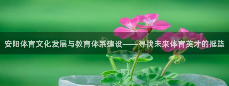 yy易游官网下载平台假的吗是真的吗吗：安阳体育文化发