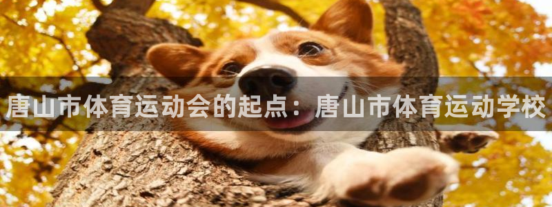 yy易游官网下载招商电话号码查询：唐山市体育运动会的