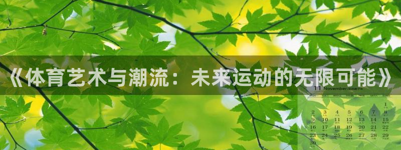 yy易游官方正版app娱乐是那个系列的台子：《体育艺