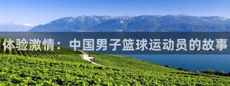 yy易游官方正版app集团