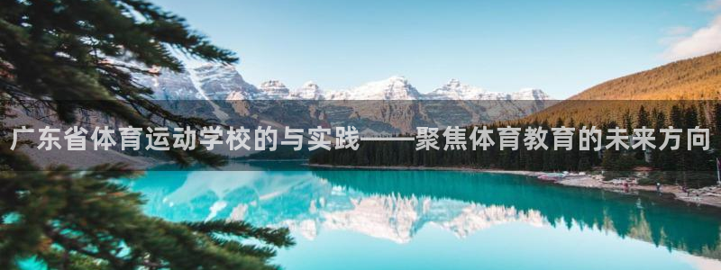 yy易游官方正版app娱乐网站：广东省体育运动学校的与实践—