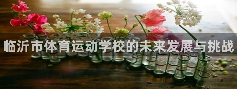 yy易游官网下载招商：临沂市体育运动学校的未来发展与挑战