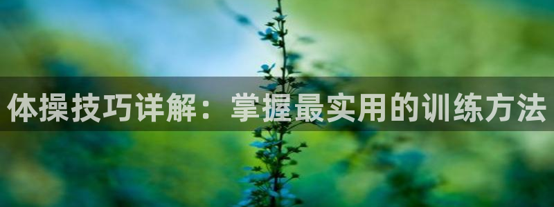 yy易游官方正版app娱乐首页网站大全：体操技巧详解：掌握最