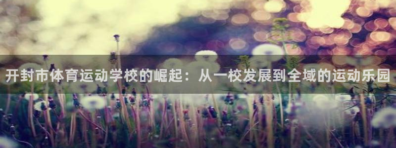yy易游官网下载招商电话是多少号码：开封市体育运动学