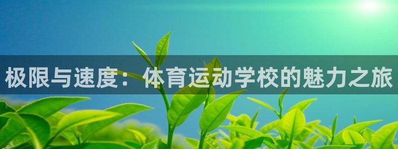 yy易游官网下载平台是正规平台吗：极限与速度：体育运动学校的