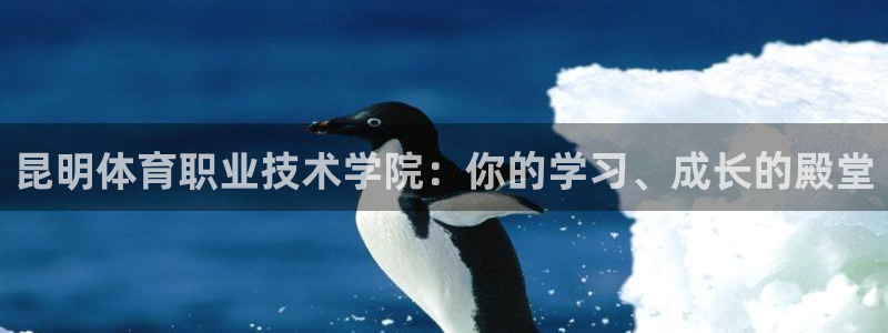 yy易游官方正版app新能源：昆明体育职业技术学院：你的学习