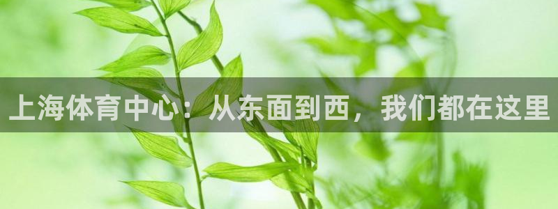德国yy易游官方正版app集团：上海体育中心：从东面到西，我