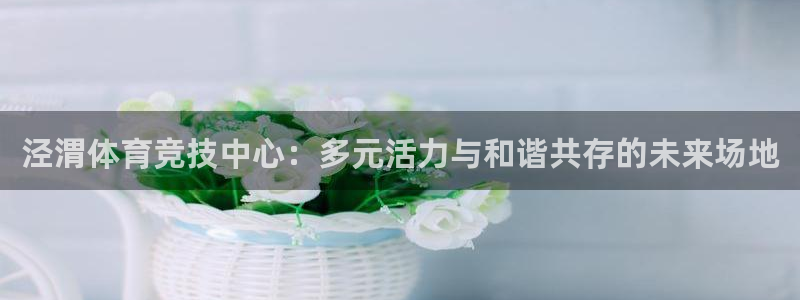 yy易游官方正版app新能源：泾渭体育竞技中心：多元活力与和