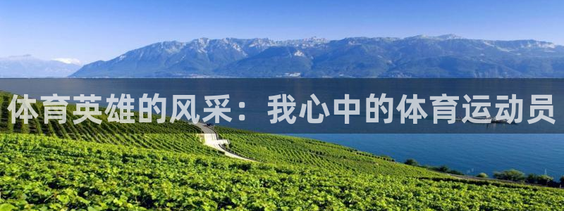 yy易游官方平台体育