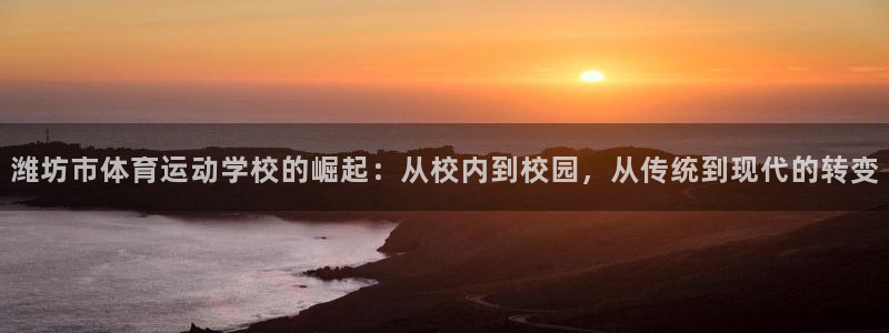 yy易游官方正版app开户：潍坊市体育运动学校的崛起：从校内