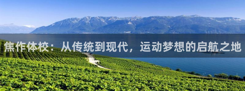 yy易游官方正版app集团E.ON