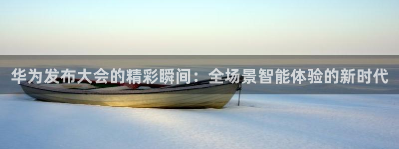 龙门在线直播nba：华为发布大会的精彩瞬间：全场景智能体验的新时代