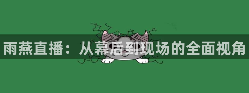 龙门体育视频直播：雨燕直播：从幕后到现场的全面视角