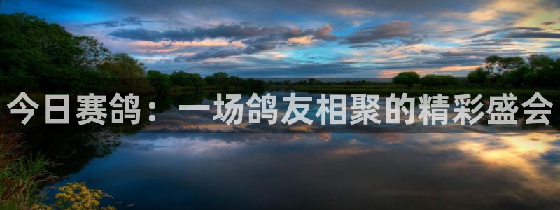 龙门直播体育免费观看：今日赛鸽：一场鸽友相聚的精彩盛会