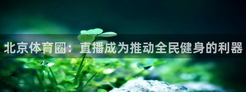 龙门nba免费直播
