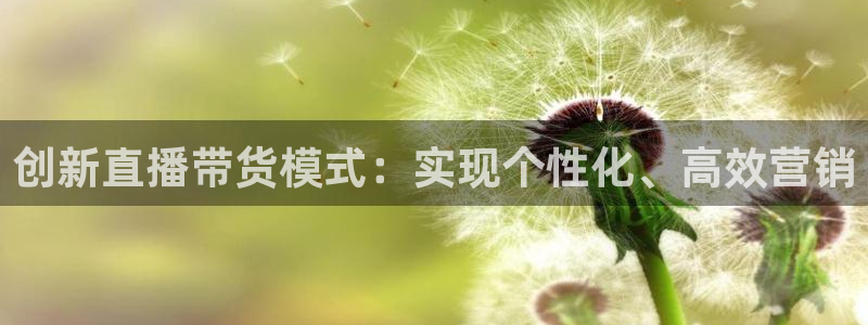龙门直播：创新直播带货模式：实现个性化、高效营销