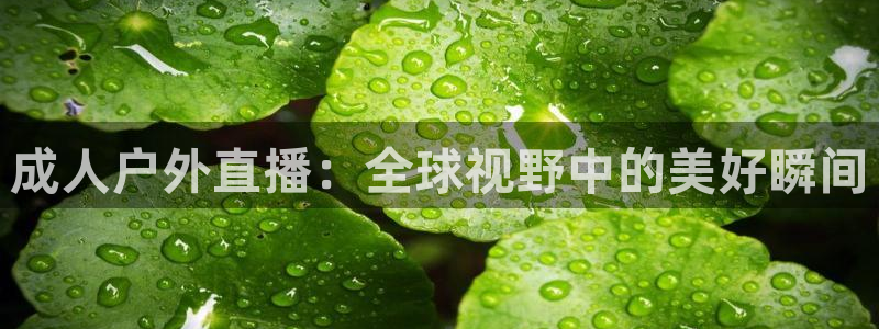 nba直播免费观看直播在线龙门：成人户外直播：全球视野中的美好瞬间