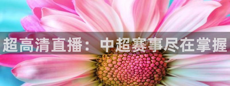 龙门直播在线观看：超高清直播：中超赛事尽在掌握