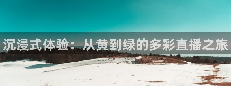 龙门直播app足球直播：沉浸式体验：从黄到绿的多彩直播之旅