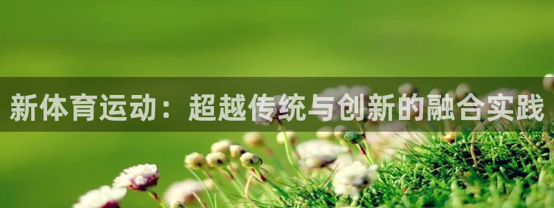 yy易游体育app最新版本更新内容是什么