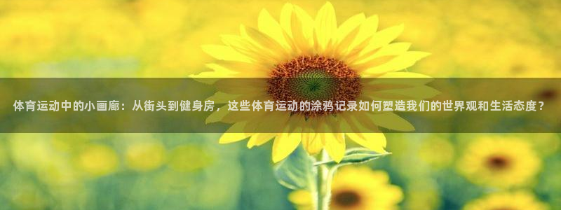 yy易游体育还能撑几年：体育运动中的小画廊：从街头到健身房，