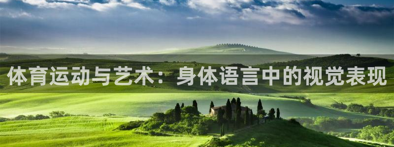 yy易游体育平台能提现吗：体育运动与艺术：身体语言中的视觉表