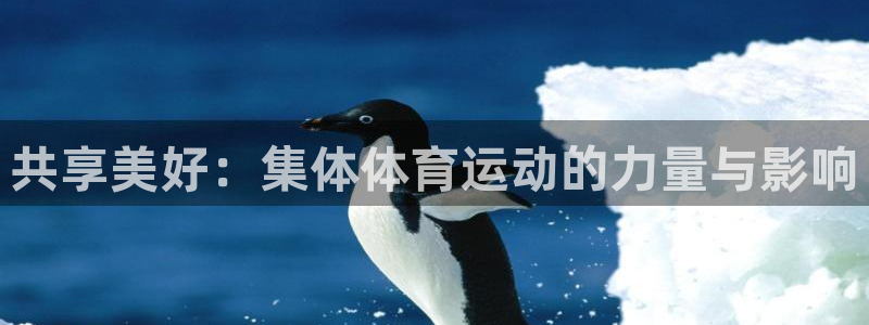 yy易游体育平台能提现吗安全吗：共享美好：集体体育运动的力量