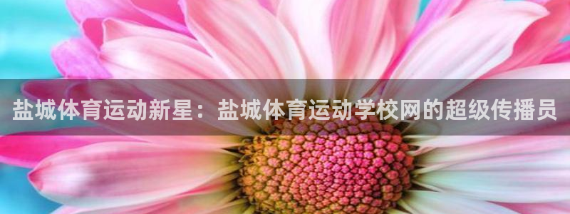  yy易游体育平台能提现吗是真的吗：盐城体育运动新星：盐城体育