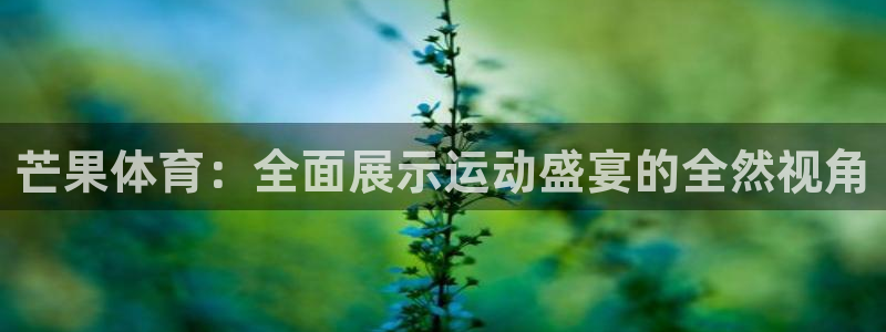 yy易游体育电竞：芒果体育：全面展示运动盛宴的全然视角