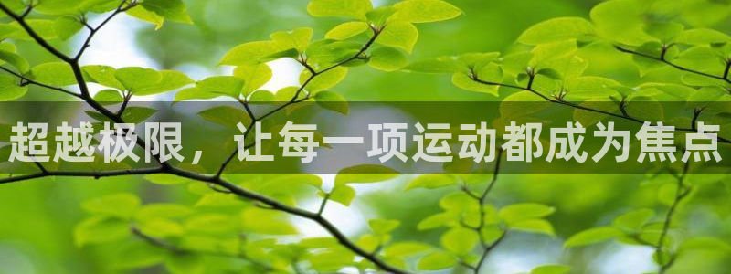 YY易游体育app最新版本更新内容：超越极限，让每一项运动都