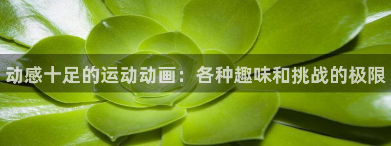  yy易游体育电竞怎么样：动感十足的运动动画：各种趣味和挑战的