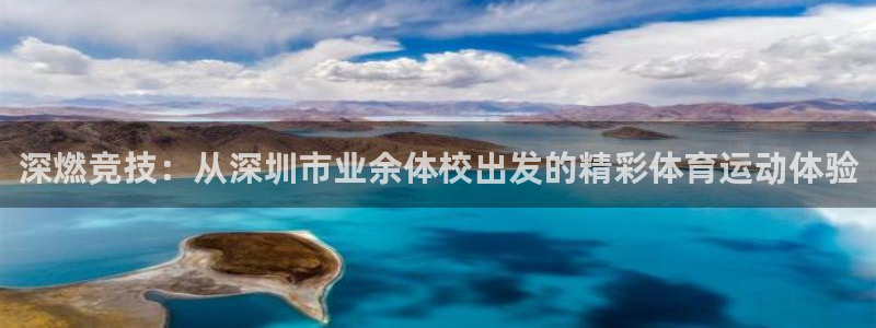 yy易游体育电竞