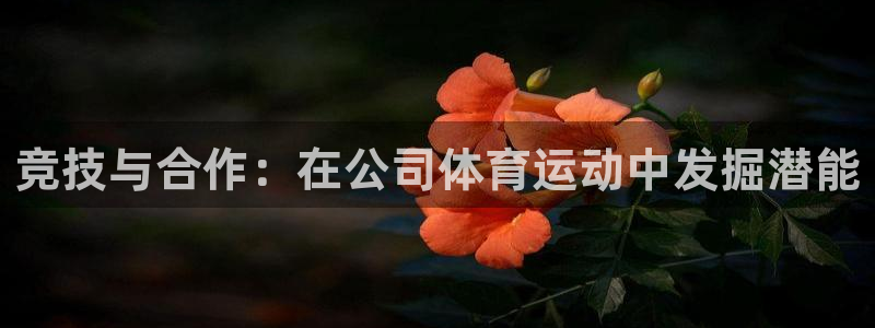 yy易游体育怎么样