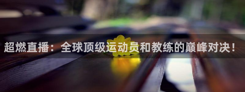 龙门直播nba免费直播入口：超燃直播：全球顶级运动员和教练的巅峰对决！