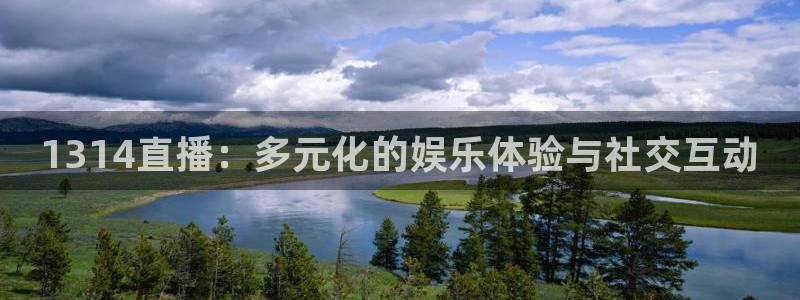 nba龙门直播：1314直播：多元化的娱乐体验与社交互动