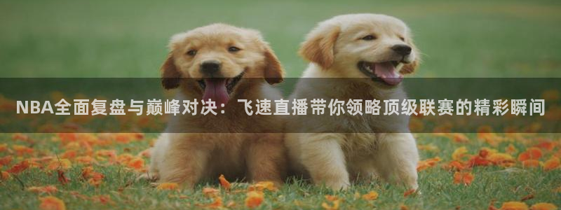 看球直播龙门直播：NBA全面复盘与巅峰对决：飞速直播带你领略顶级联赛的精彩瞬间